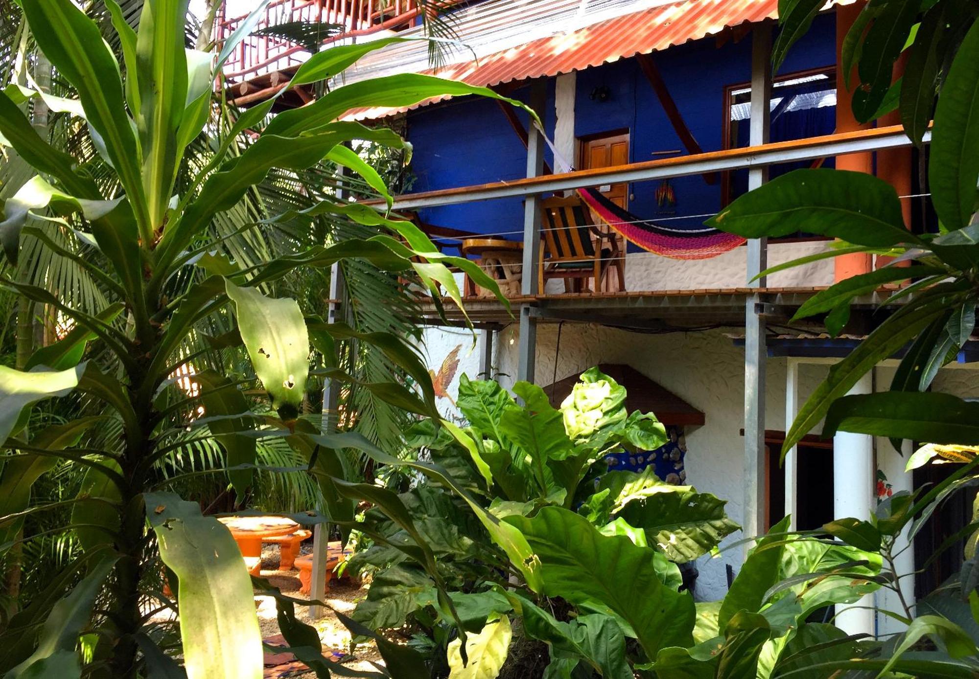 Tico Adventure Lodge Sámara Værelse billede
